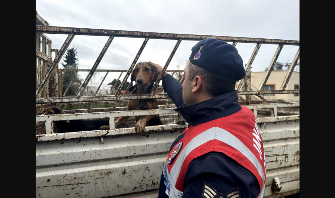 87 Kez OkunduMersin İl Jandarma Komutanlığı ekipleri, Mezitli İlçesi’nde av